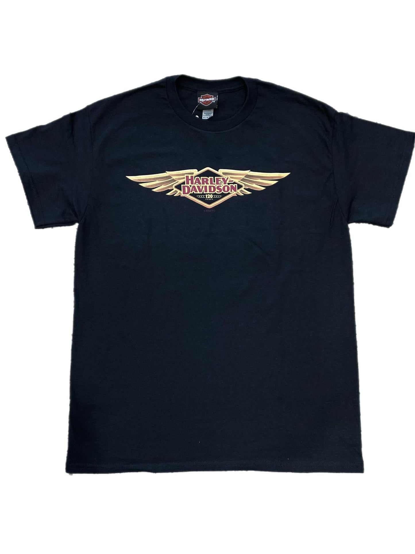 Empire Dealer Tee - 120th Wings