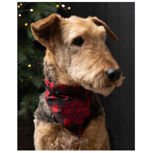 Harley-Davidson Holiday Plaid Pet Bandana Collar